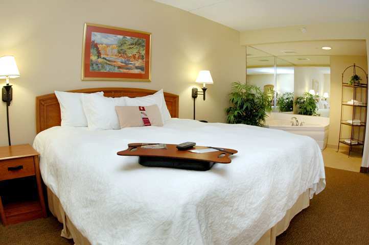 Hampton Inn Muskegon Muskegon Heights Pokoj fotografie